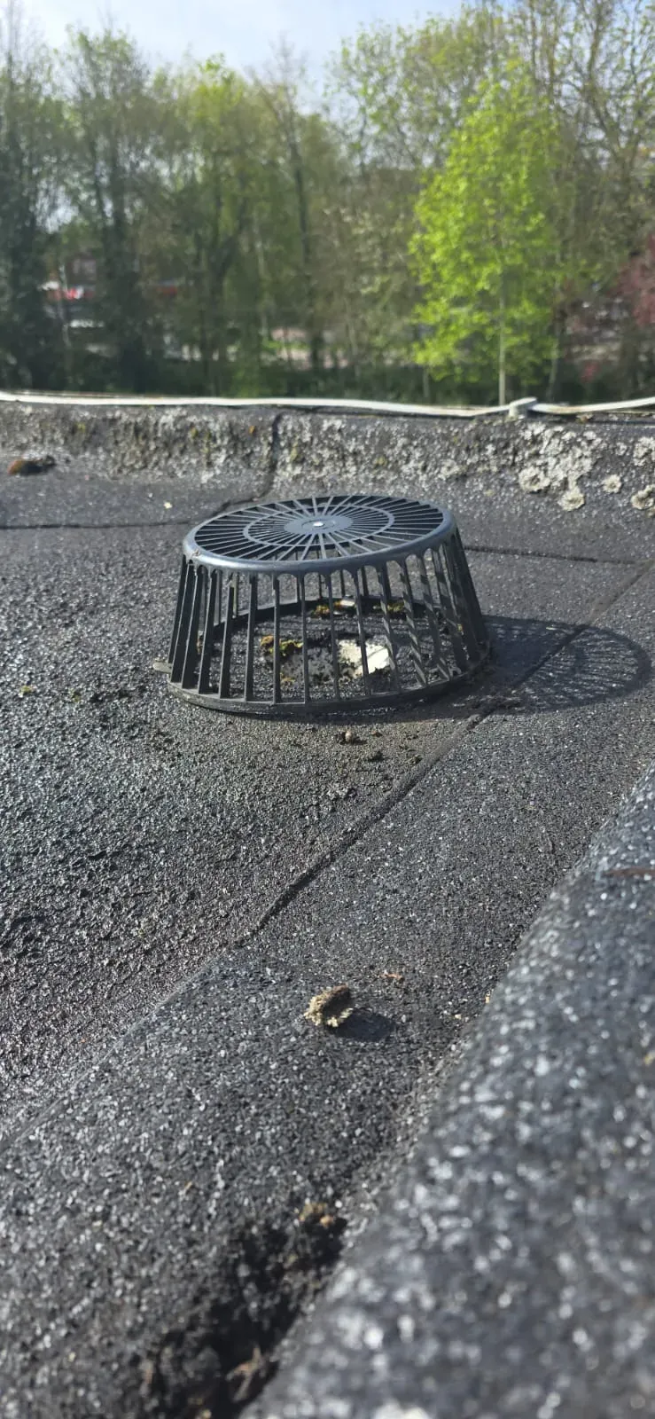 Leaf guard on a flat roof drainage outlet