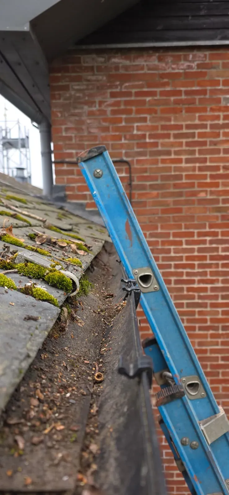 Specialist Cleaning by Flex Property Services