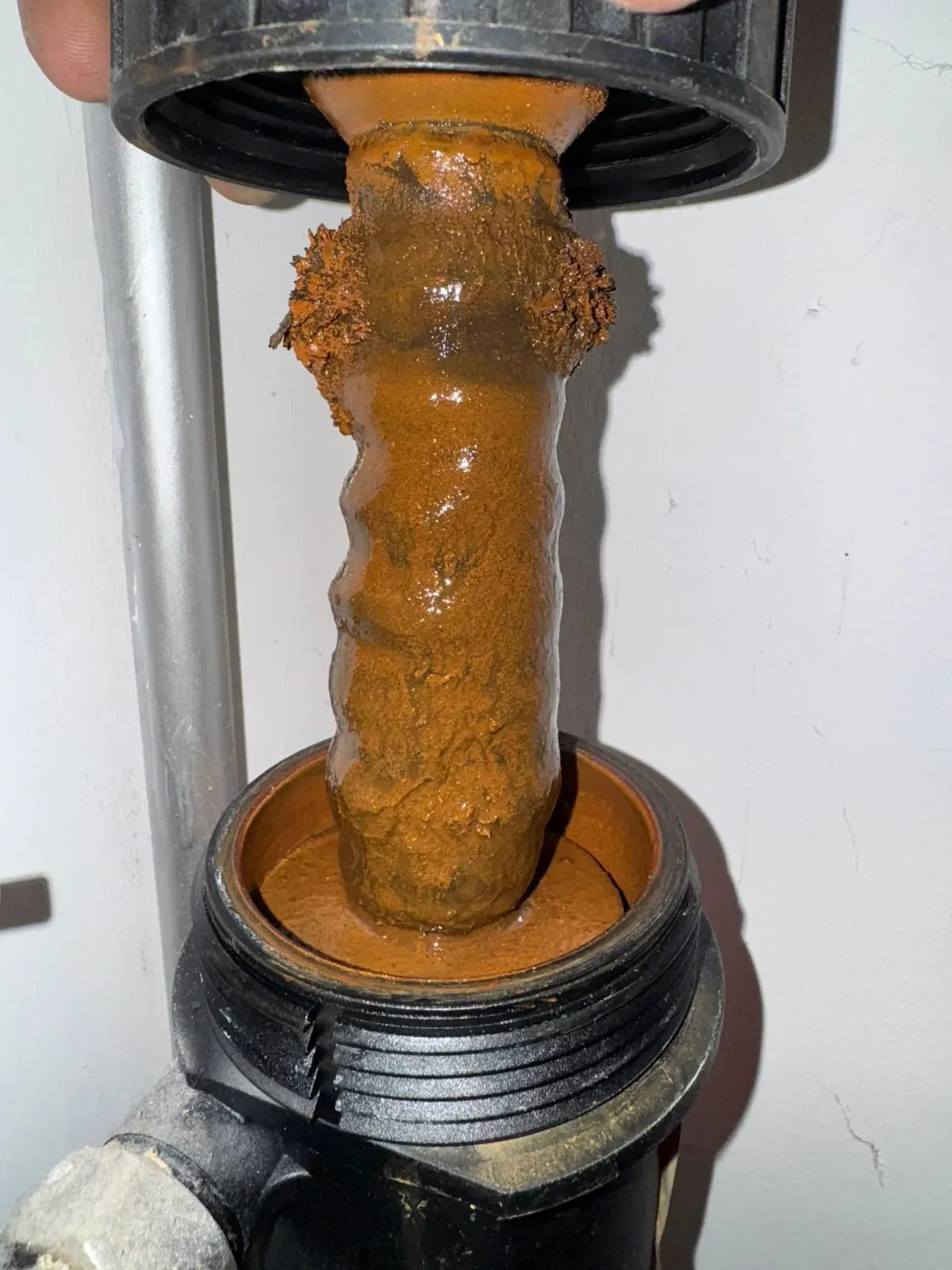 Boiler Servicing by Flex Property Services